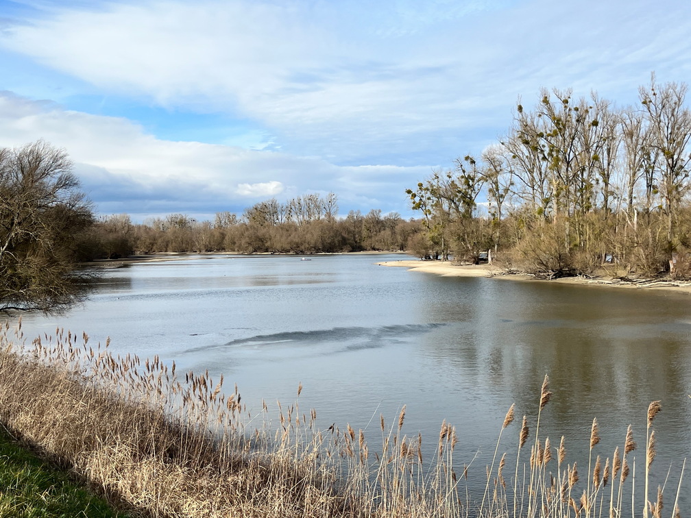 23-02-18 14-16-33 4249